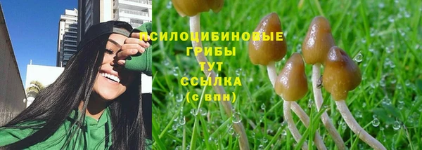 ГАЛЛЮЦИНОГЕННЫЕ ГРИБЫ Абаза
