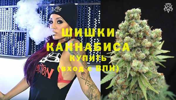ГАЛЛЮЦИНОГЕННЫЕ ГРИБЫ Абаза