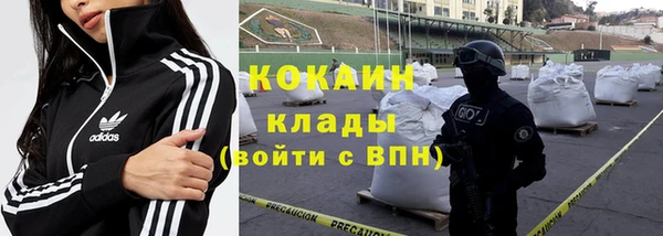ГАЛЛЮЦИНОГЕННЫЕ ГРИБЫ Абаза