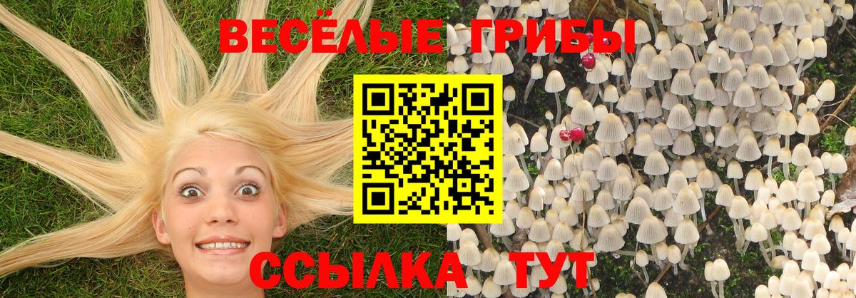 Галлюциногенные грибы Cubensis  Галлюциногенные грибы Psilocybe  Истра  Вход с VPN 