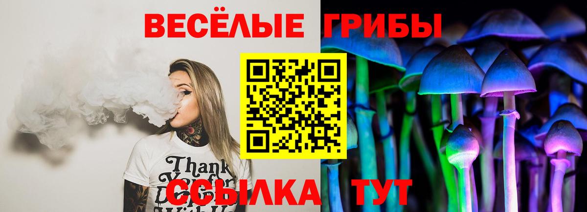 Псилоцибиновые грибы мицелий Истра