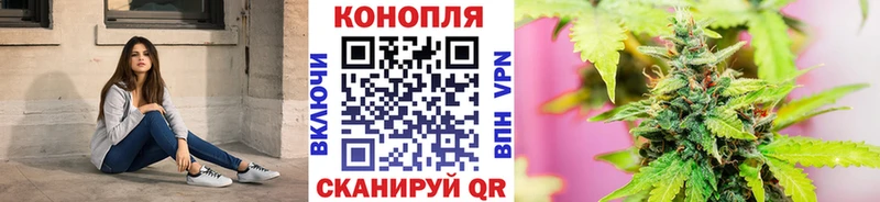 Марихуана план  где купить наркоту  Истра 